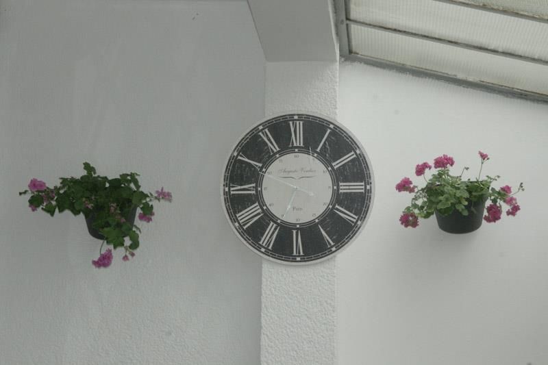 An einer weißen Wand hängt neben zwei Topfpflanzen eine Uhr.