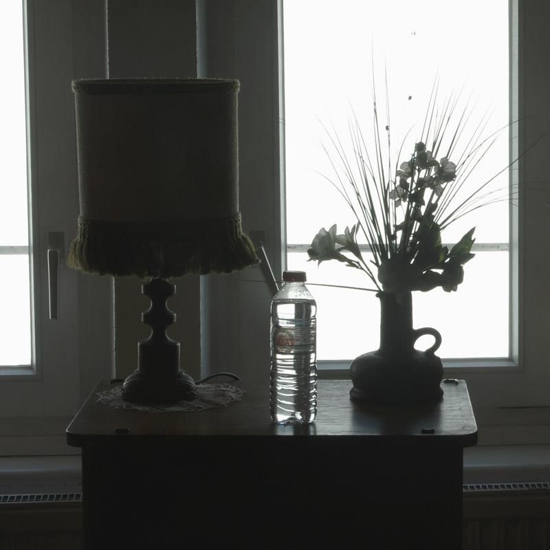Eine Lampe steht auf einem Tisch neben einer Vase mit Blumen und einer Flasche Wasser