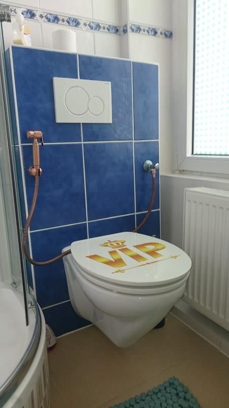 Ein Badezimmer mit Toilette und Dusche.