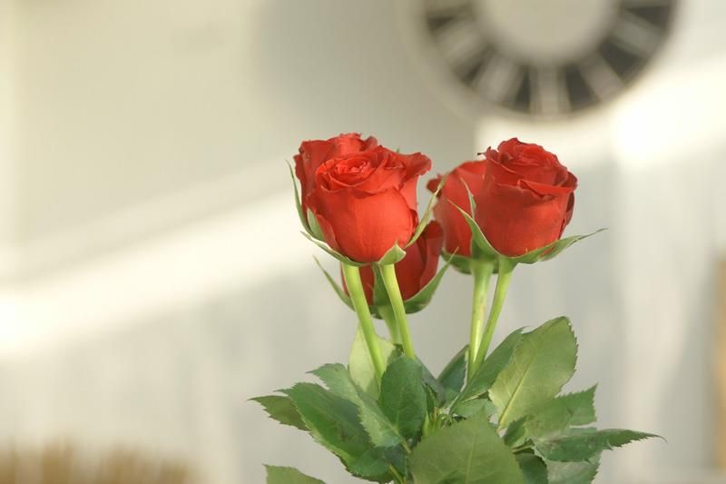 Drei rote Rosen stehen in einer Vase vor einer Uhr.