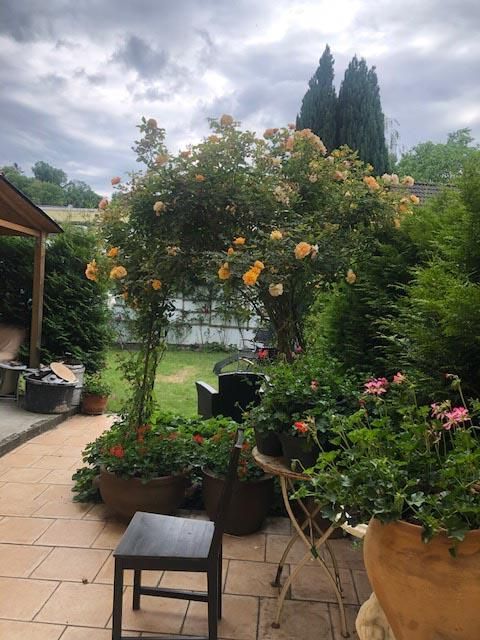Eine Terrasse mit Tisch, Stühlen, Topfpflanzen und einem Baum.