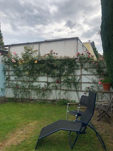 Ein Gartenstuhl steht im Gras in einem Hinterhof
