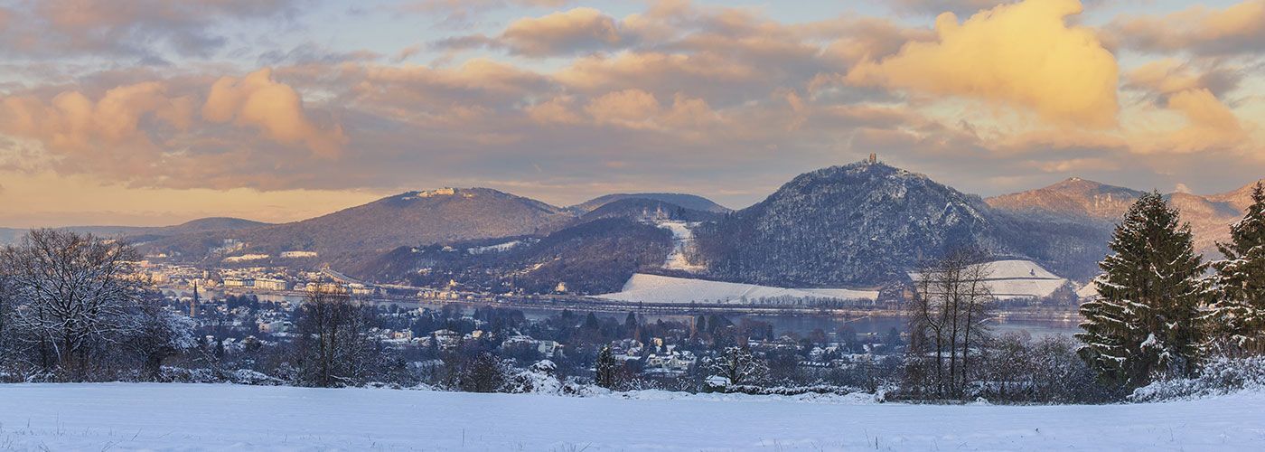 Ein schneebedecktes Feld mit Bergen im Hintergrund und Bäumen im Vordergrund.