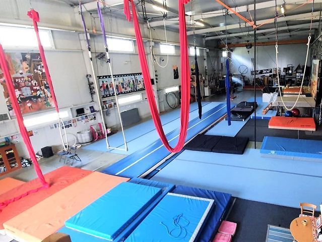 Espace pro et formations professionnelles - École de cirque Zôfy