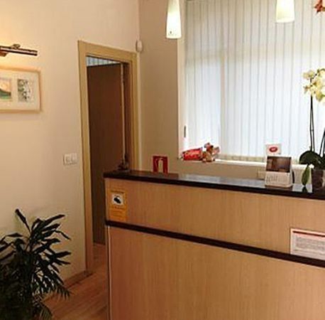Un mostrador de recepción en una habitación con una planta delante.