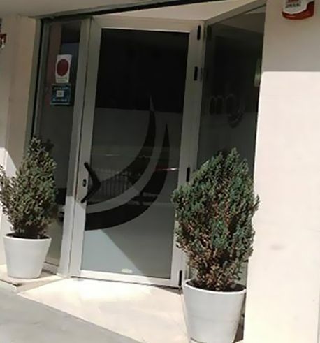 Dos plantas en macetas están frente a una puerta de vidrio.