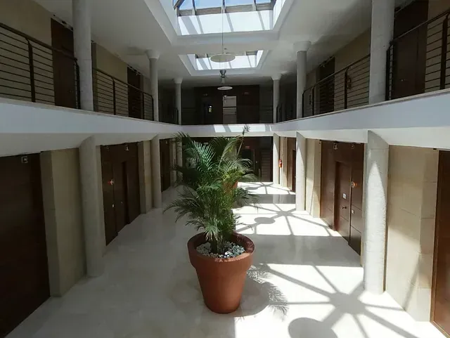 Pasillo interior de un edificio con puertas a ambos lados. Una gran maceta se encuentra en el centro. La luz natural entra a raudales por la claraboya superior.