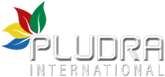 Logo Pludra International