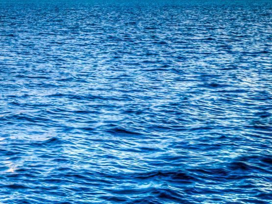 Blumen liegen an einem Sandstrand