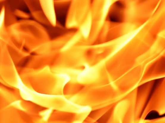 Eine Urne steht auf einem verzierten Tisch