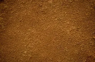 Holzsarg mit Blumen verziert