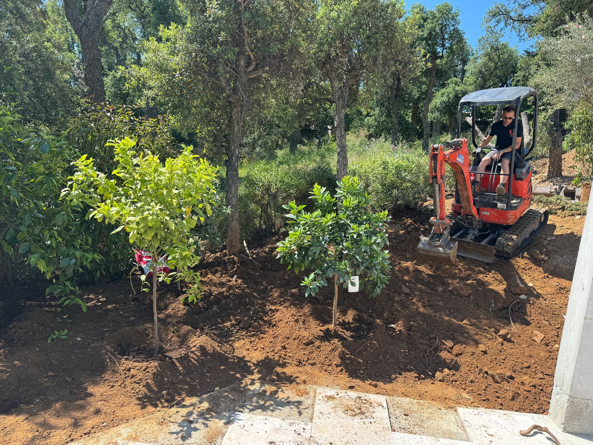 Terrassement autour de plantes