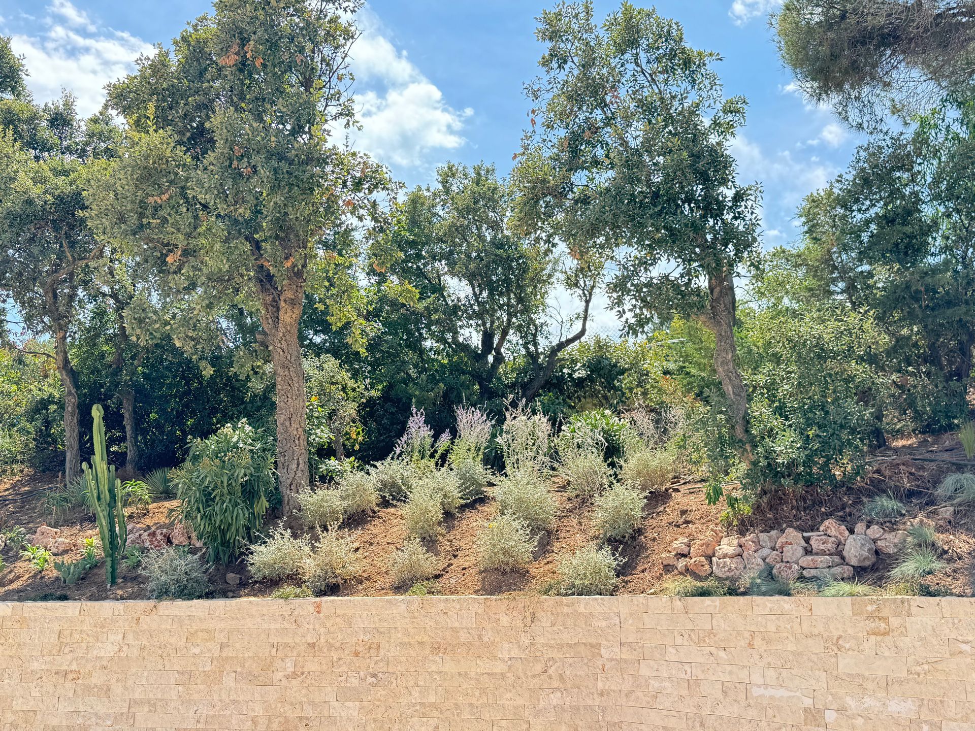 Un massif végétalisé