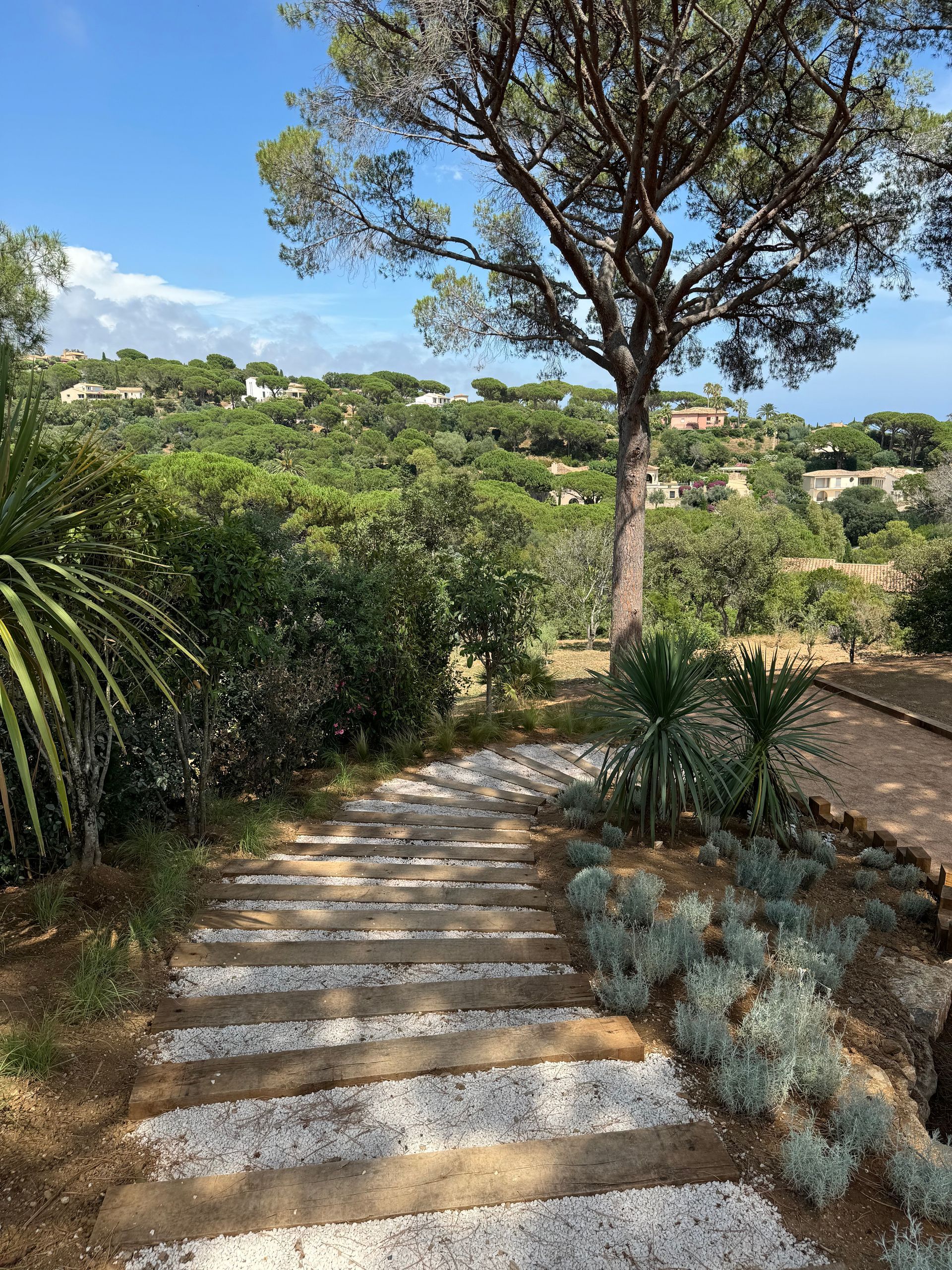 Une allée de galets dans un jardin