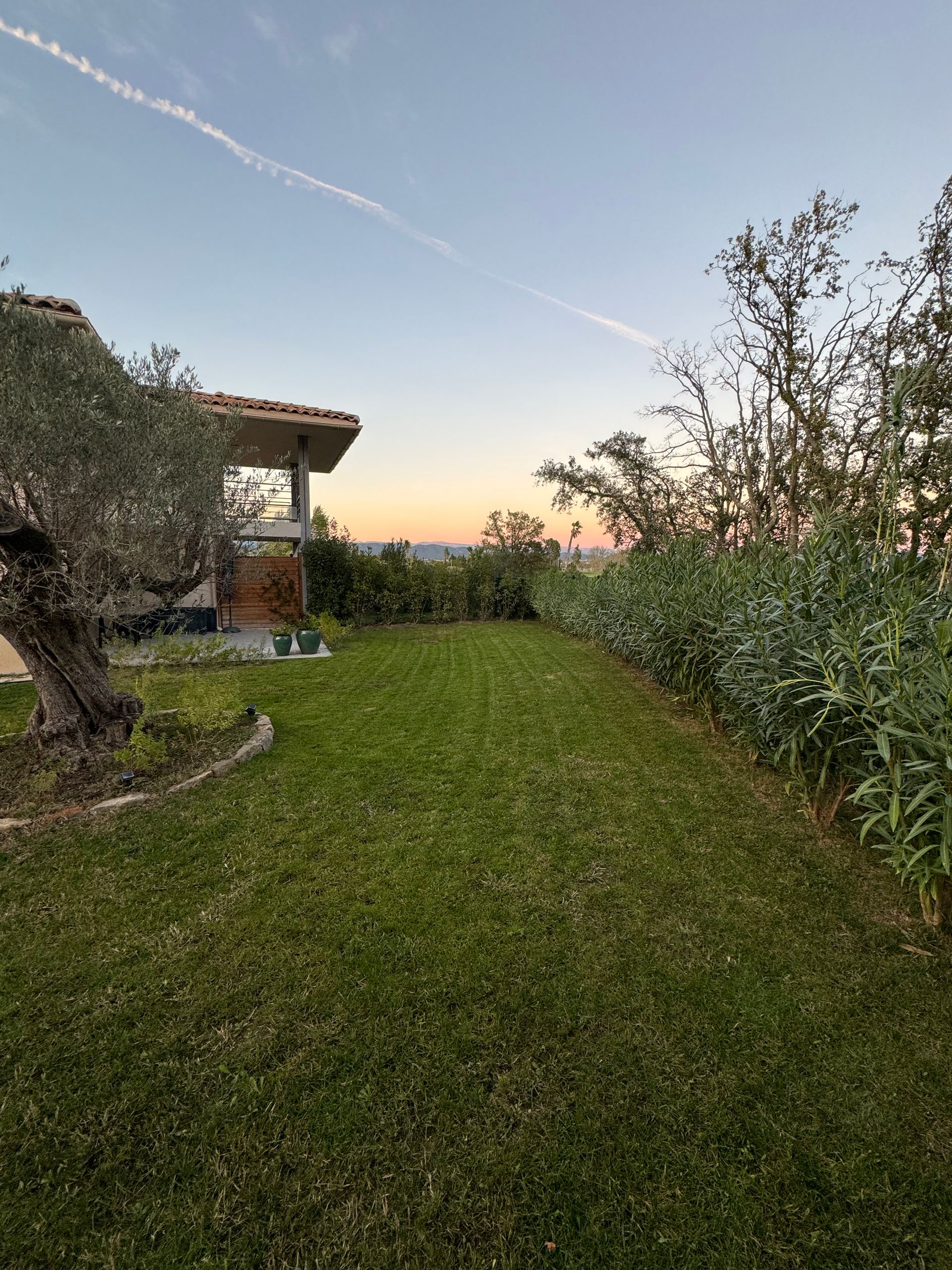 Une pelouse bien entretenue