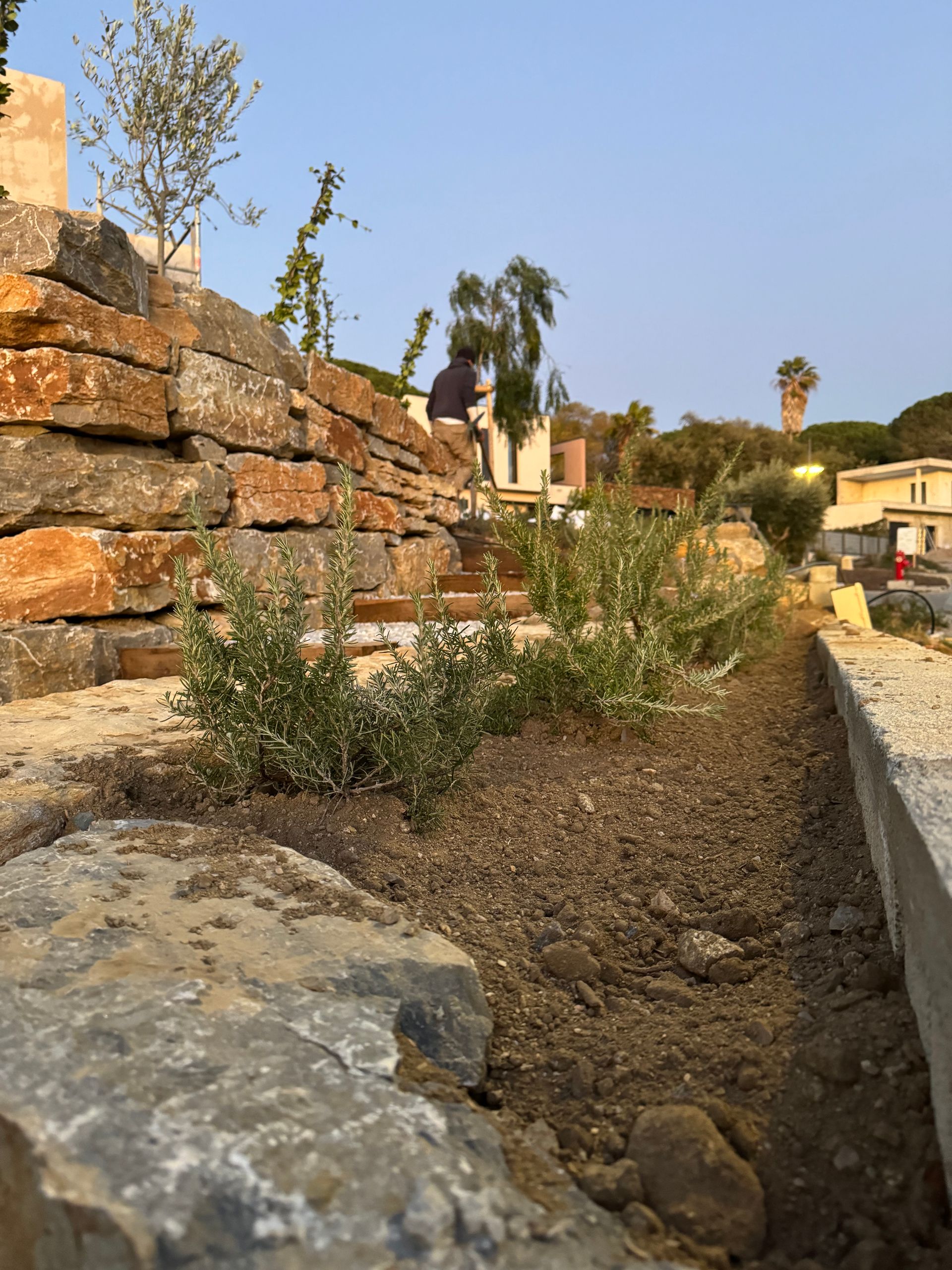 Plantation de végétaux