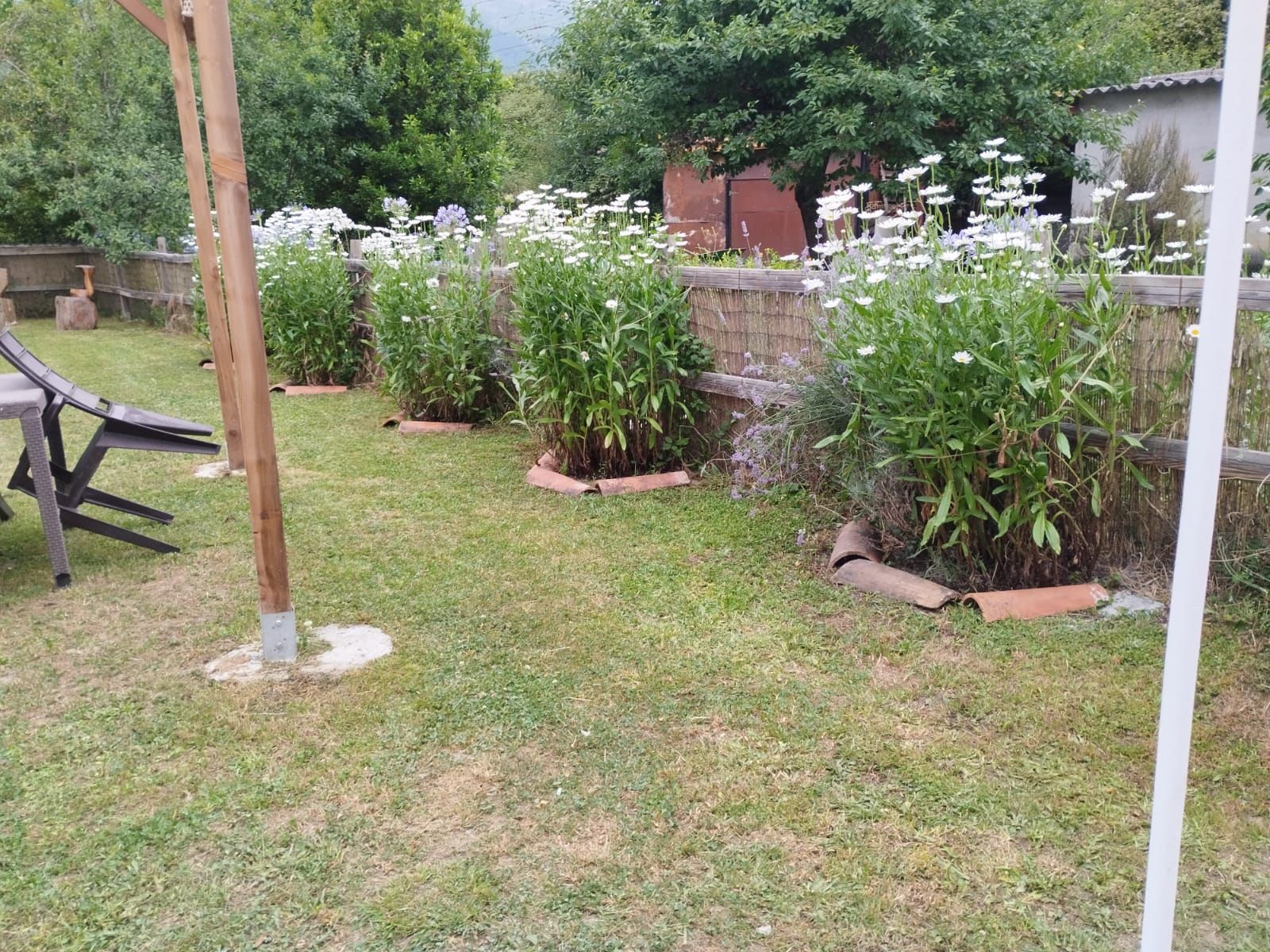 Exuberante jardín con flores blancas y follaje verde, delimitado por ladrillos y una valla de madera.