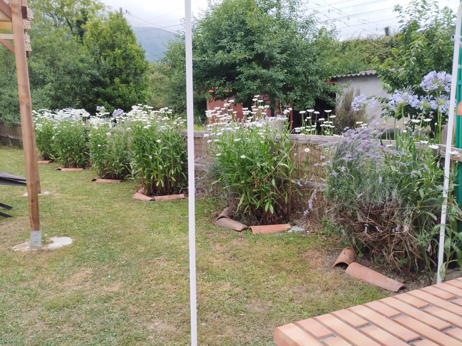 Un jardín con hileras de flores blancas, arbustos verdes y bordes de ladrillo, con un telón de fondo de árboles.