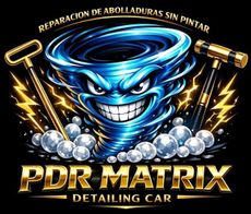 Logotipo ovalado negro y plateado para Matrix Detailing Car SLE con contorno de coche estilizado y texto del servicio.
