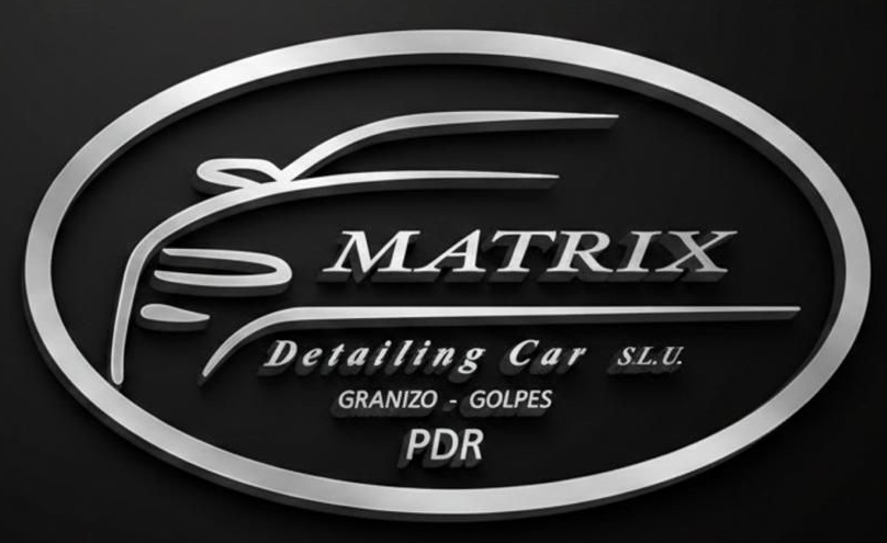 Logotipo ovalado negro y plateado para Matrix Detailing Car SLE con contorno de coche estilizado y texto del servicio.