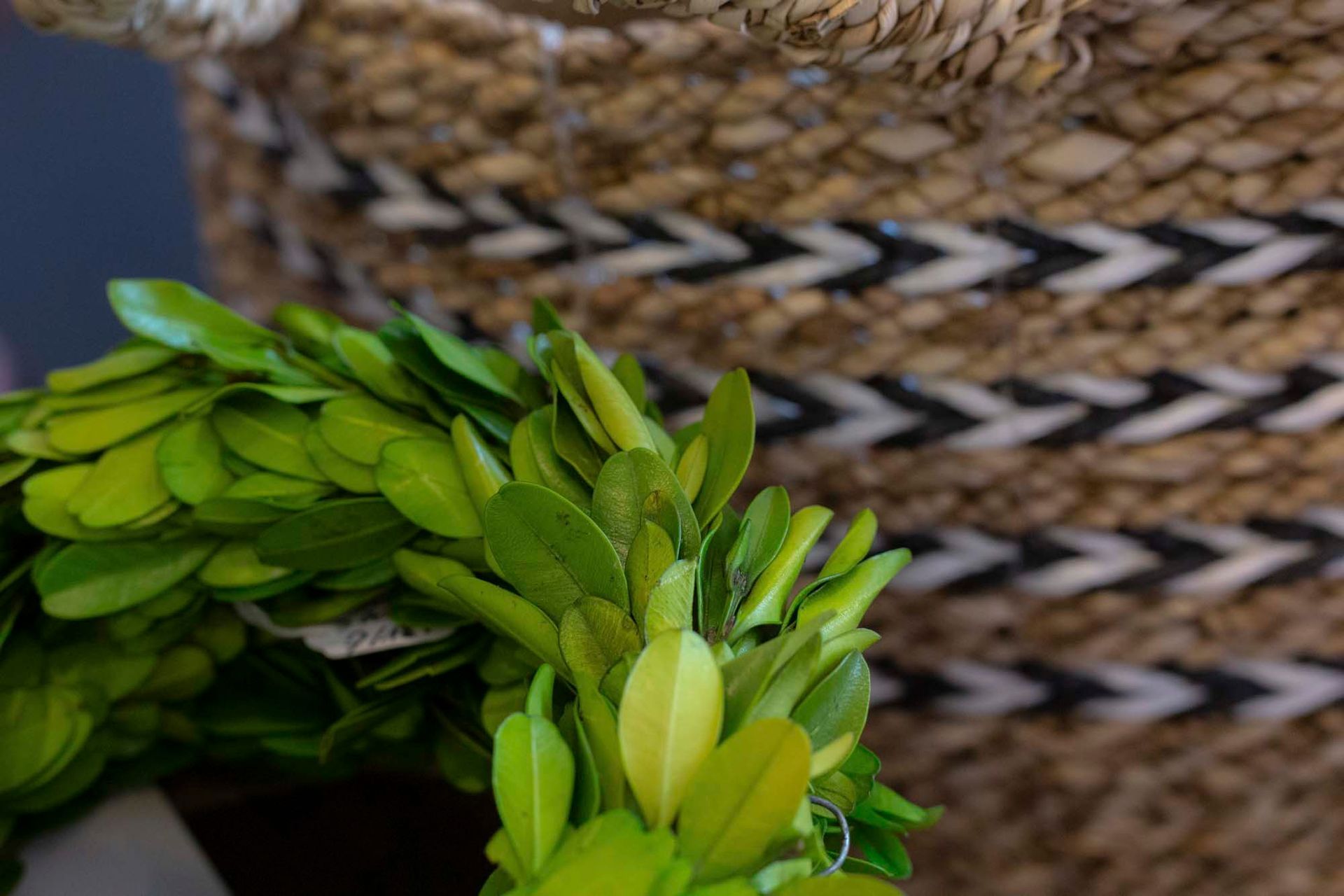 Katja Herzog Wohnen & Leben- Impressionen Naturdeko