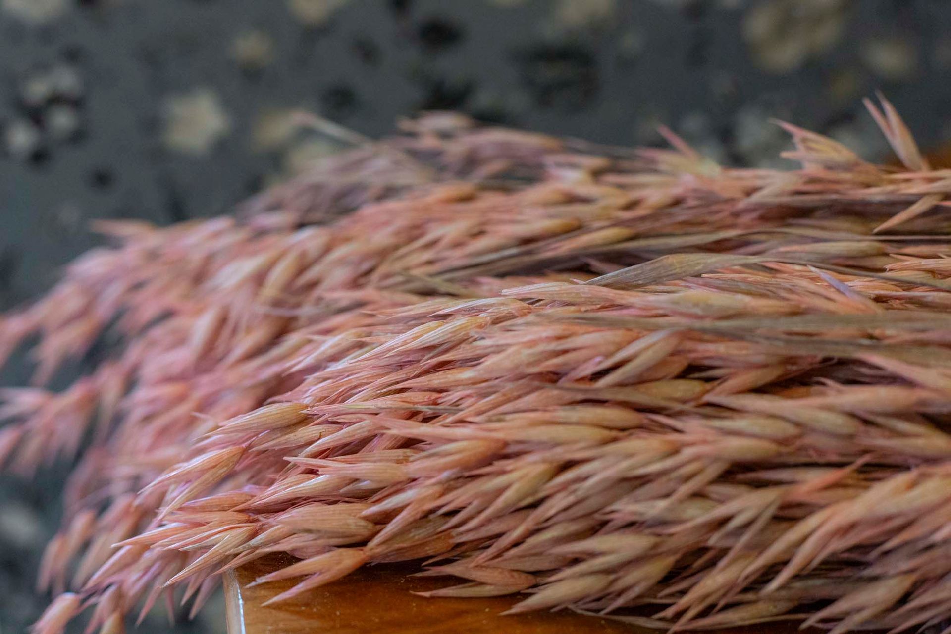 Katja Herzog Wohnen & Leben- Impressionen  Rispen Dekoration