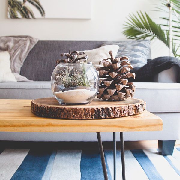 Ein Wohnzimmer mit einer Couch und einem Tisch mit Tannenzapfen darauf