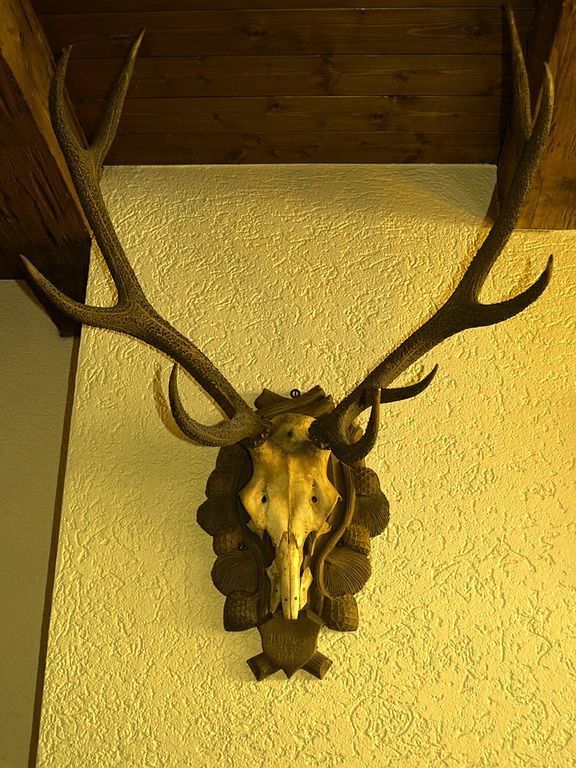 Café-Restaurant - Au Fribourgeois - Bulle