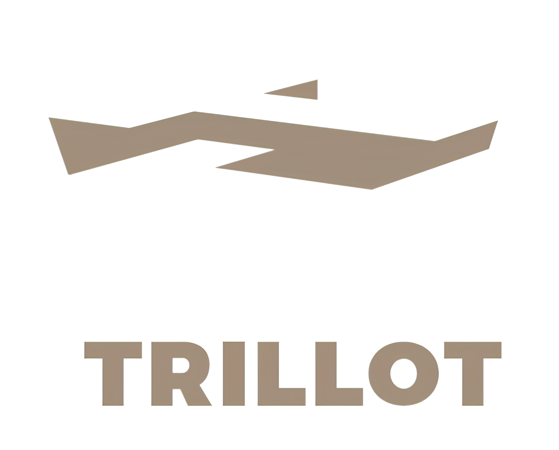Logotype de l'entreprise Constuctions Trillot.