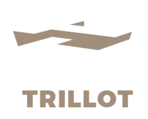 Logotype de l'entreprise Constuctions Trillot.