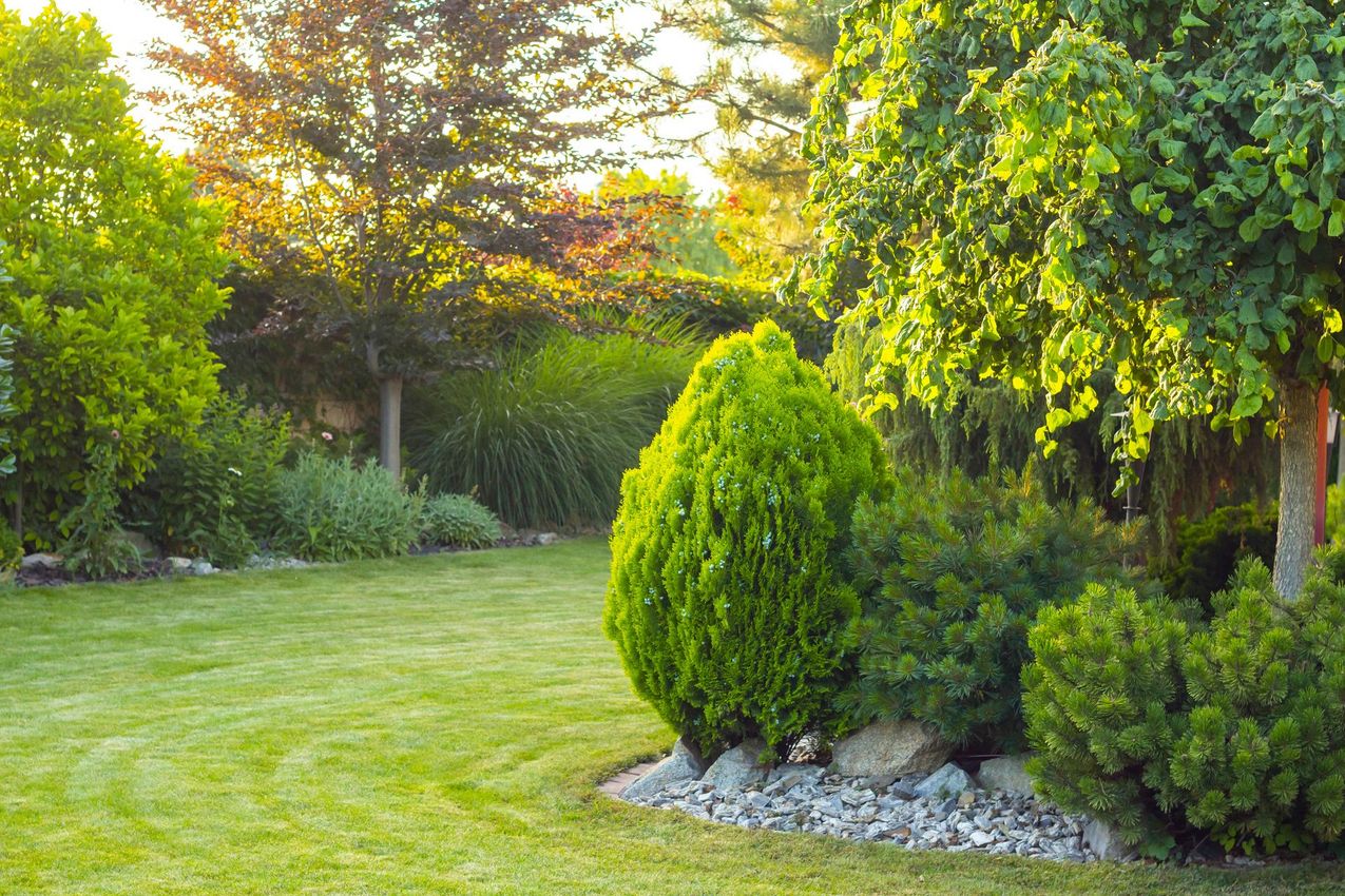 Un jardin verdoyant