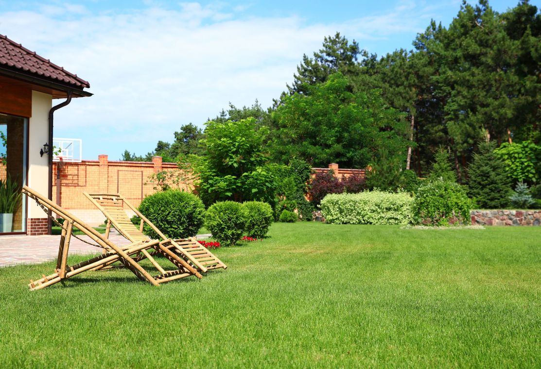 Un jardin avec des massifs