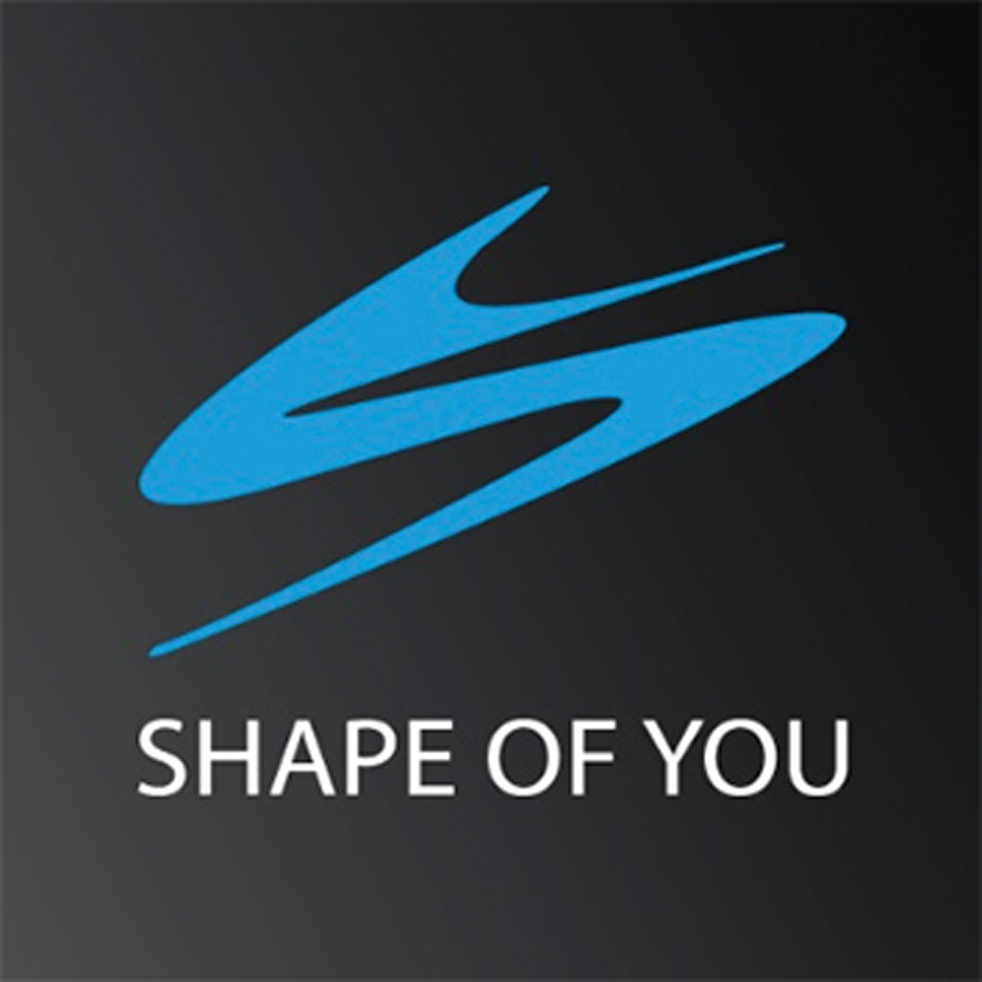 SHAPE OF YOU Bodyforming Studio Cornelia Beckers | Regensburg | Logo
