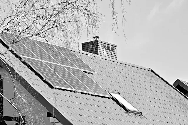 Una fotografía en blanco y negro de un techo con paneles solares y una chimenea.