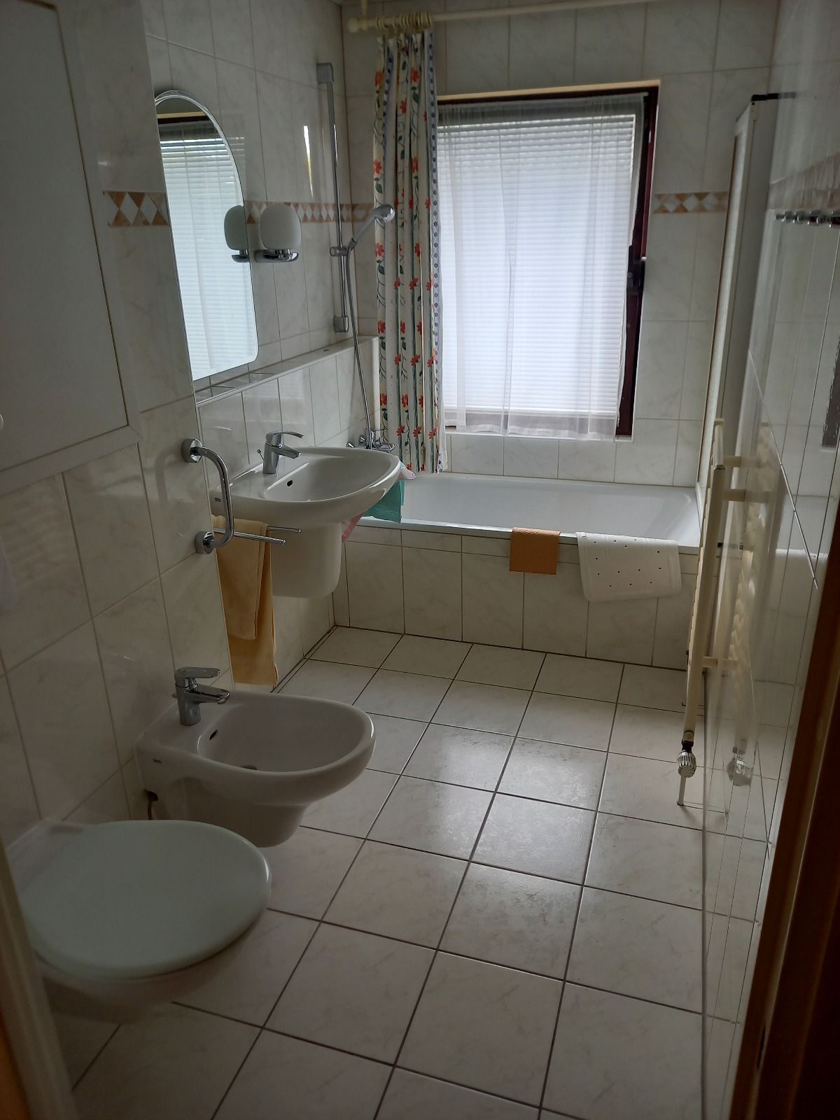 Wolf Heizung Sanitär