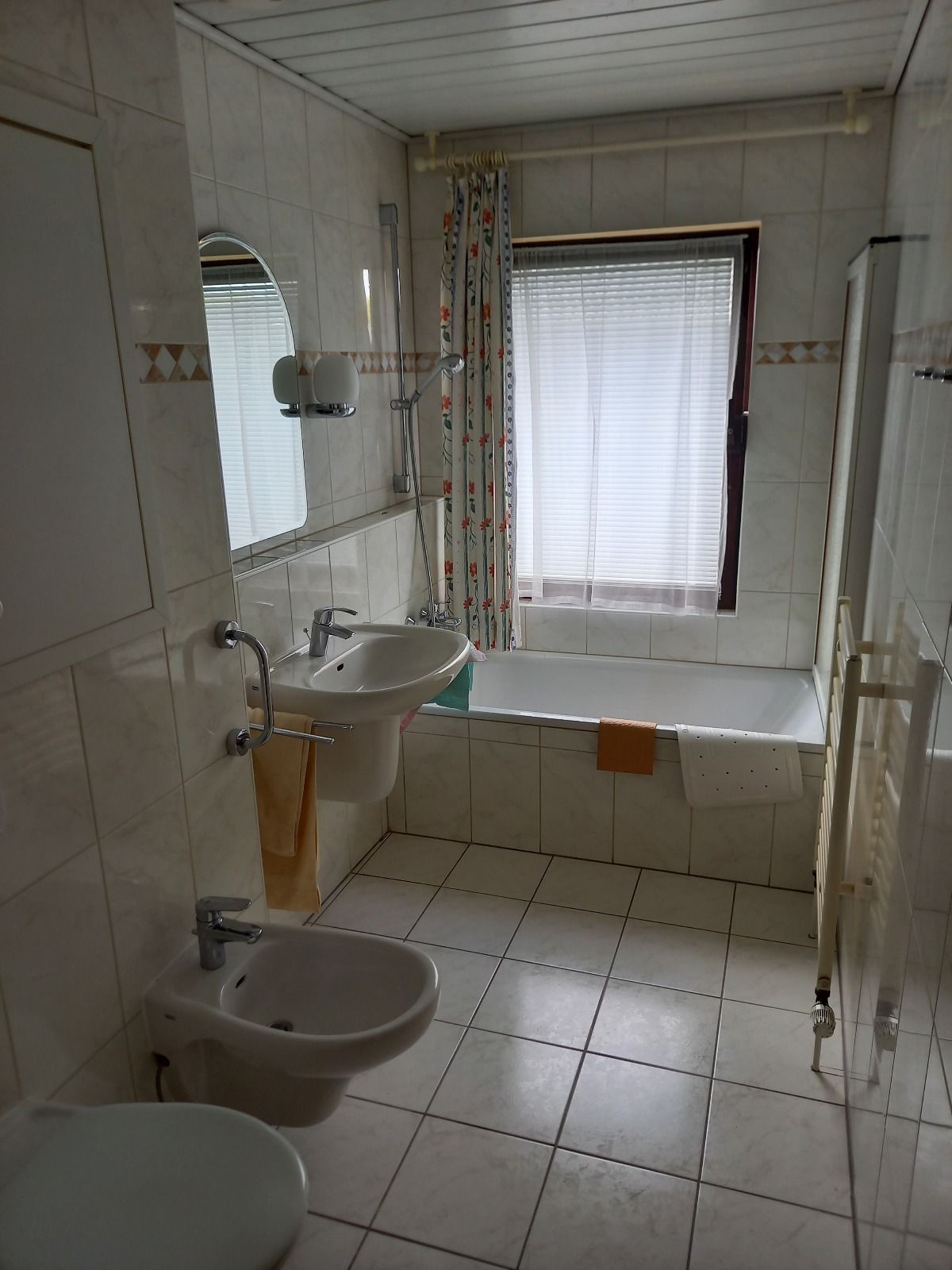 Wolf Heizung Sanitär