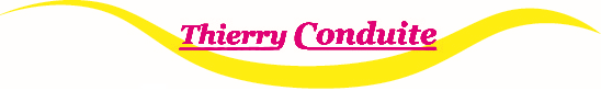 Logo du site internet de Thierry Conduite