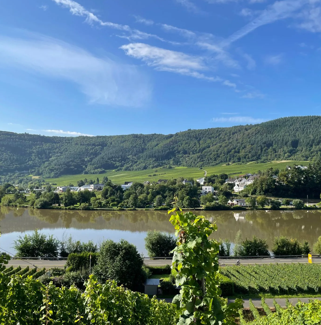 Die Mosel