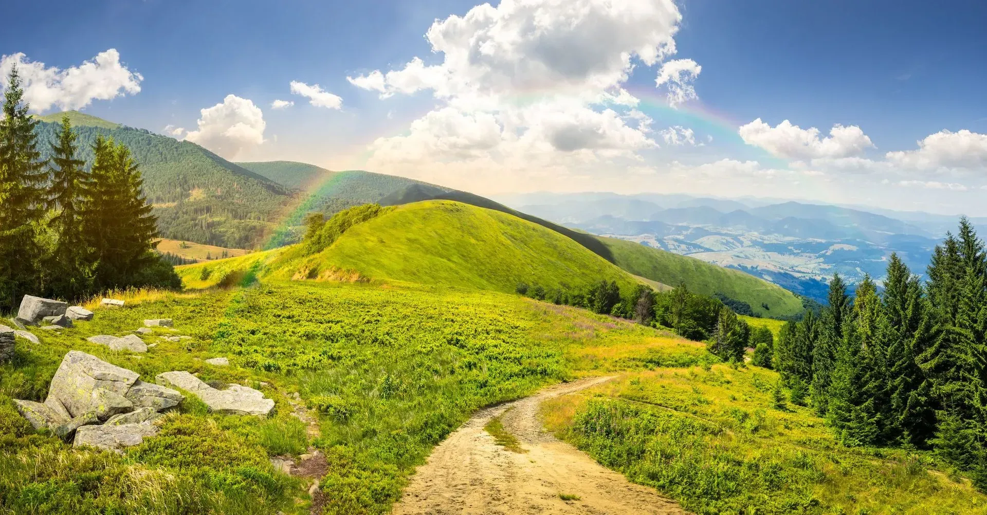 Grüne Landschaft