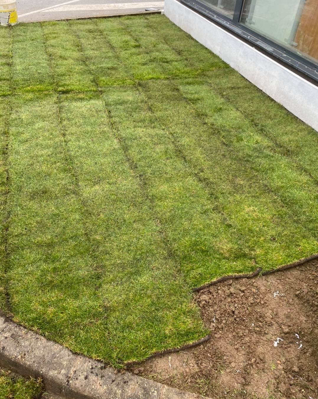 Rouleau de gazon posé