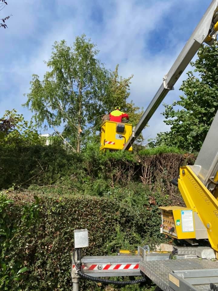 Paysagiste réalisant un élagage avec une nacelle