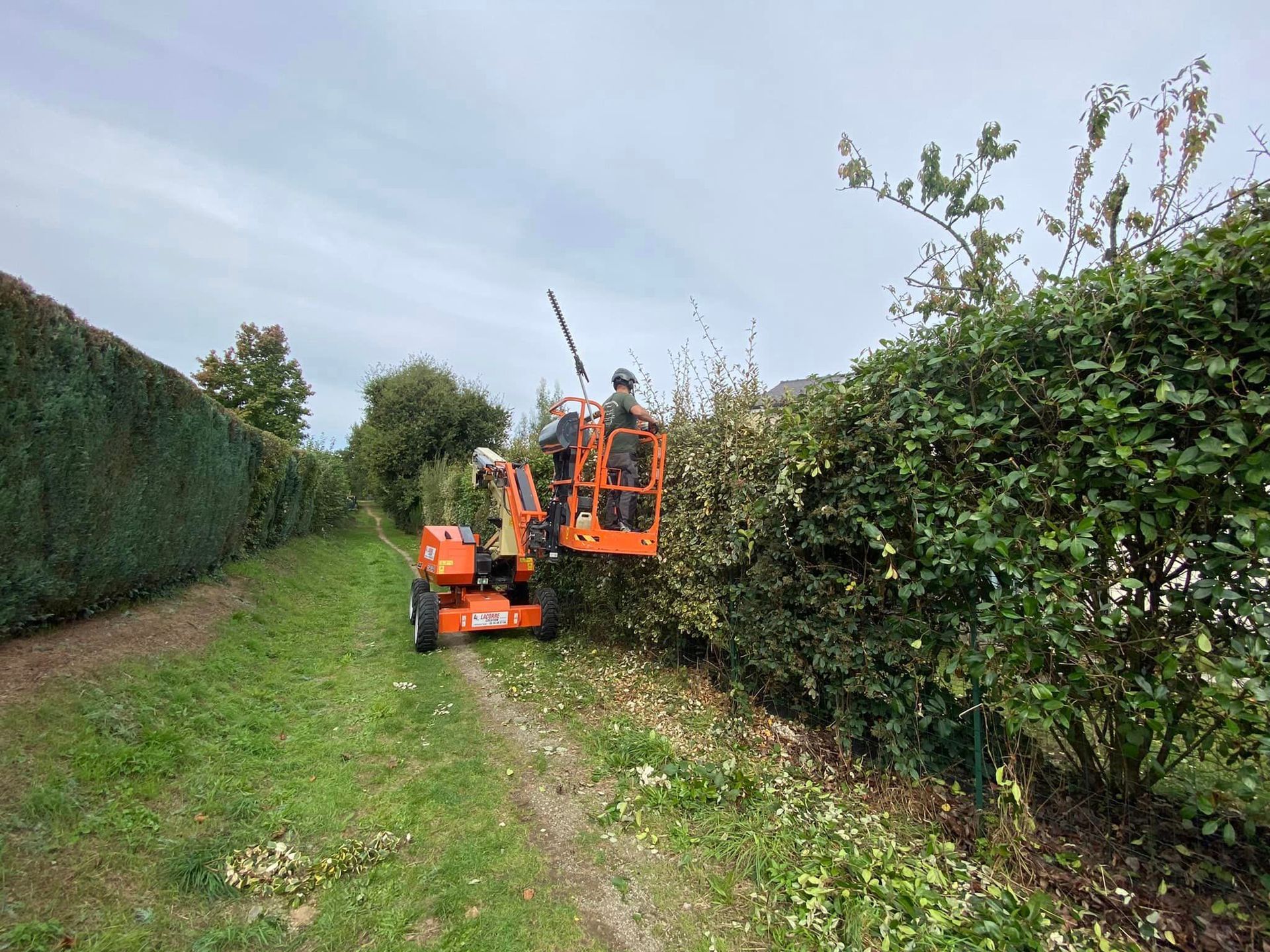 Paysagiste réalisant la taille d'une haie de clôture