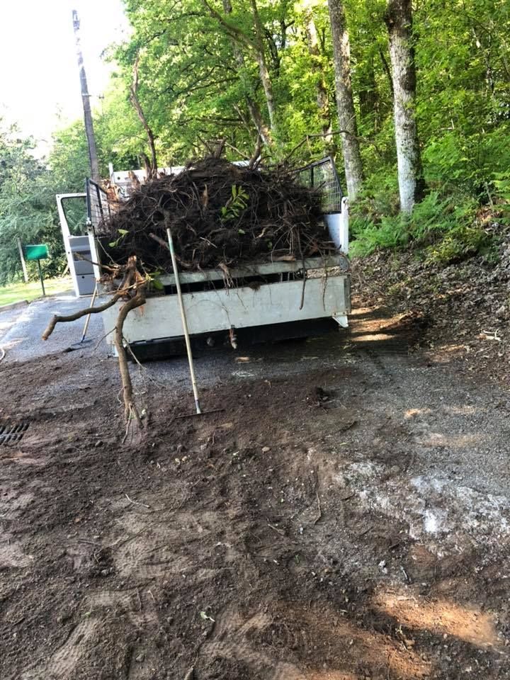 Camion-benne chargé avec des racines d'arbre