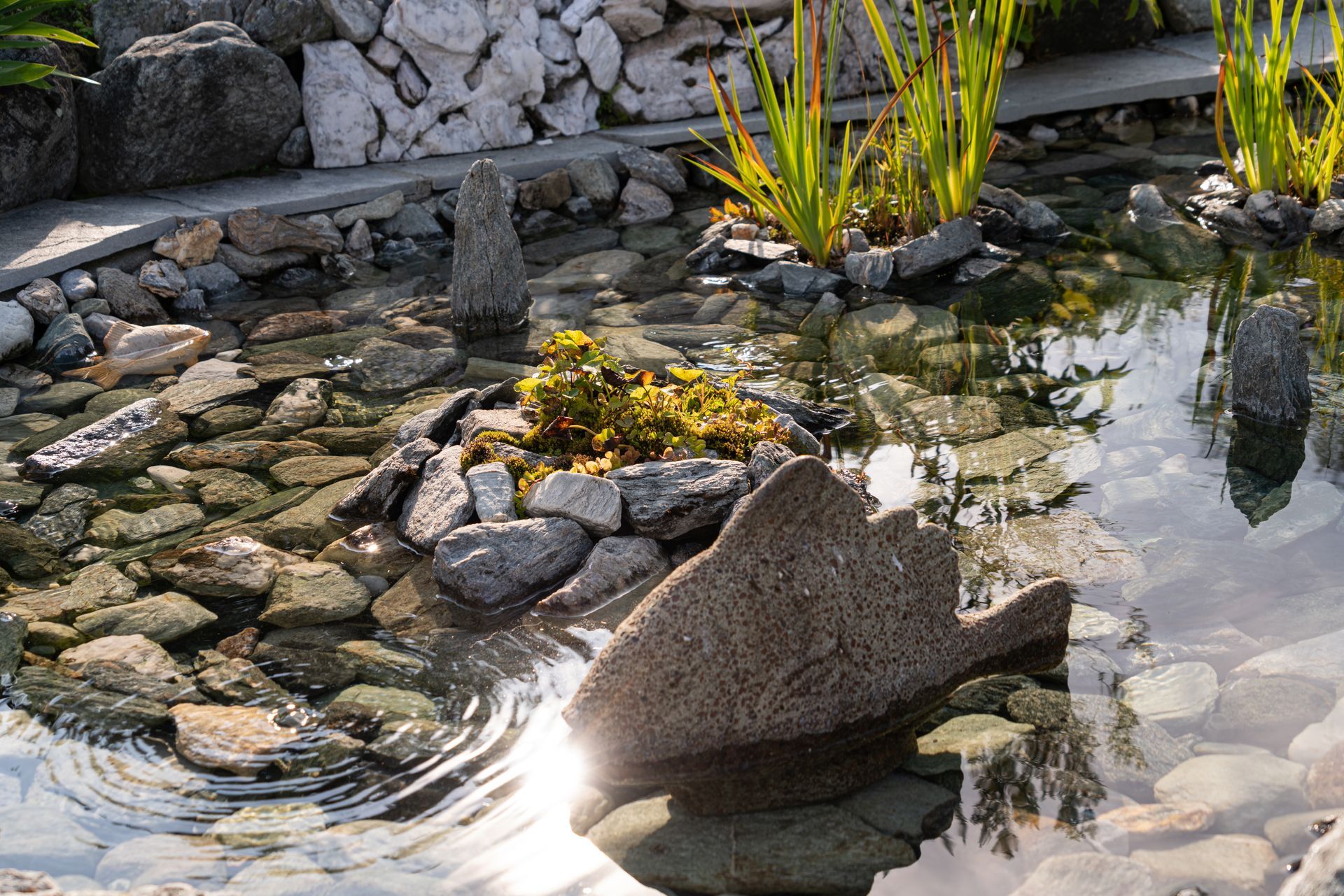Bassin avec des pierres