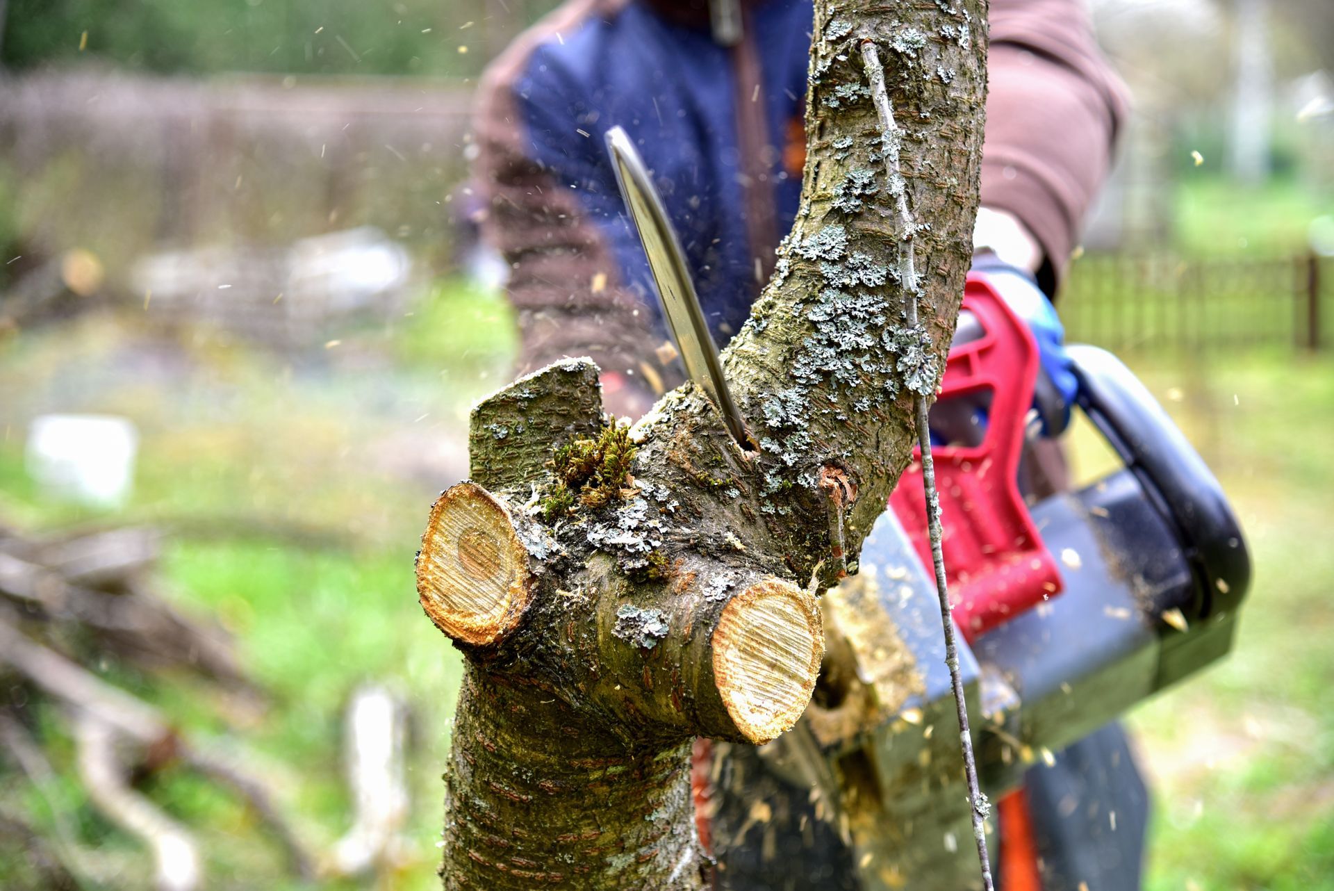 Homme avec une tronçonneuse coupant une branche