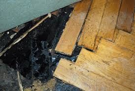 PAK - Acon Schadstoff GmbH - Horw