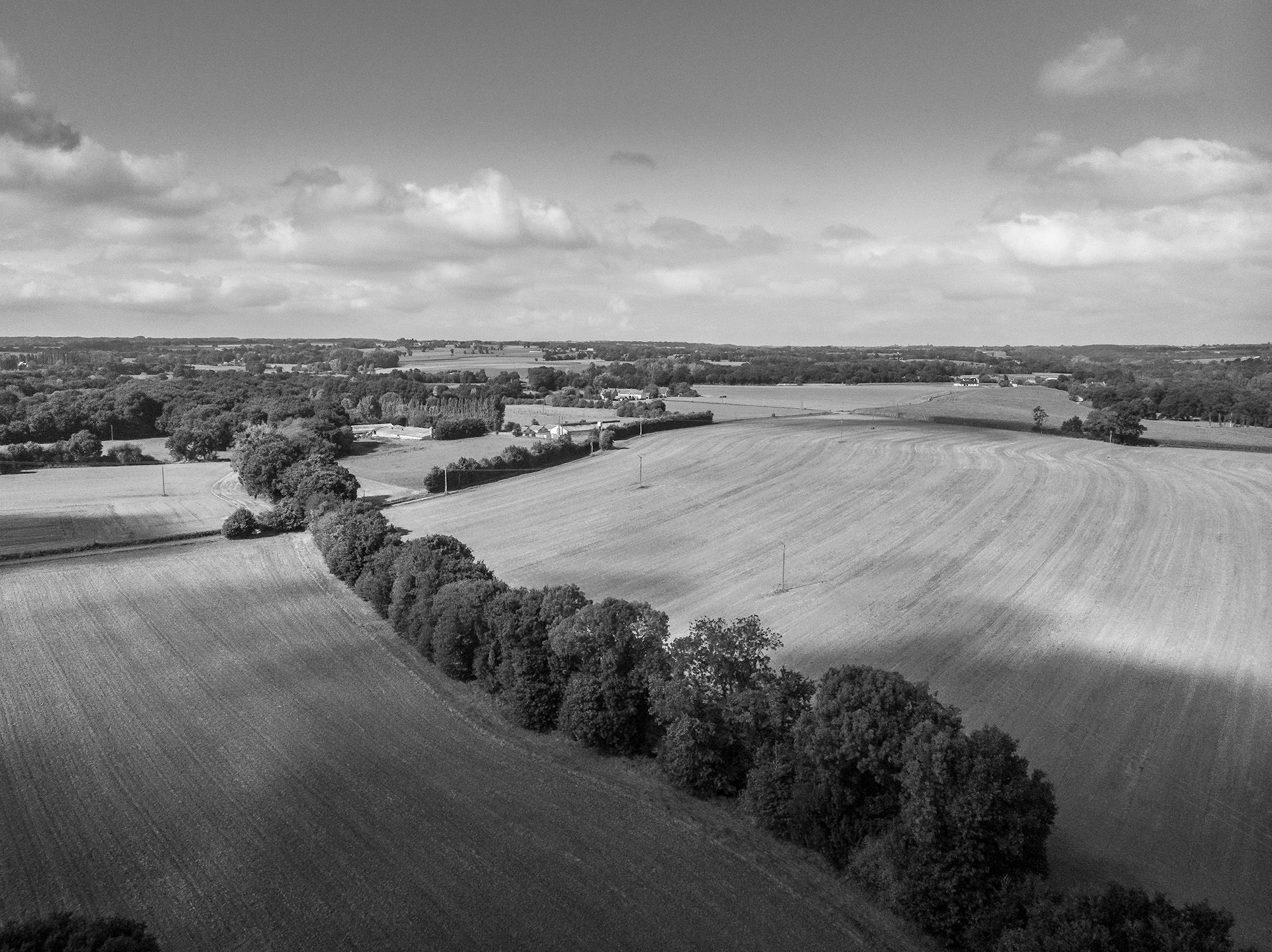 Vue aérienne en noir et blanc de champs agricoles.