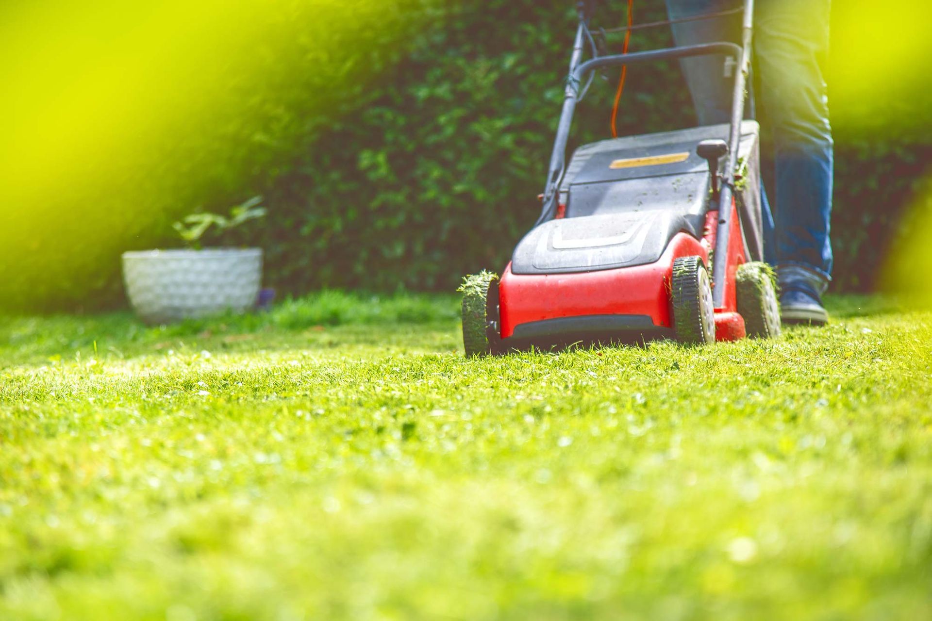 Eine Person mäht mit einem roten Rasenmäher einen üppigen grünen Rasen.