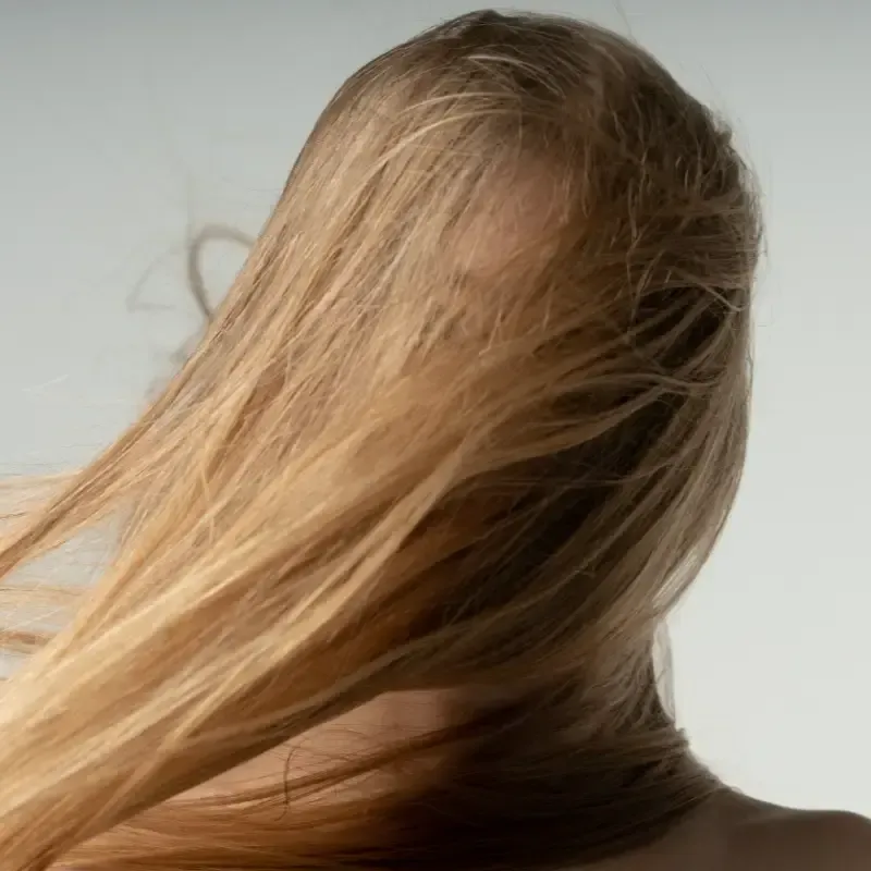 Imagen de marcador de posición de una montaña y un sol sobre un fondo gris.