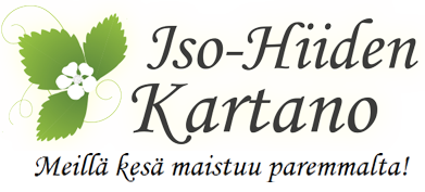iso-hiidenkartano